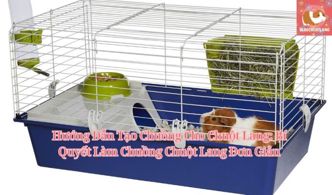 Hướng Dẫn Tạo Chuồng Cho Chuột Lang: Bí Quyết Làm Chuồng Chuột Lang Đơn Giản